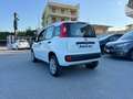 Fiat Panda Panda 0.9 TwinAir Turbo Natural Power Easy Bianco - thumbnail 13