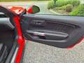 Ford Mustang Mustang 2.3 Eco Boost Rood - thumbnail 12