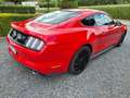 Ford Mustang Mustang 2.3 Eco Boost Rood - thumbnail 3