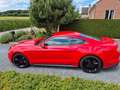 Ford Mustang Mustang 2.3 Eco Boost Rood - thumbnail 14