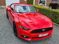 Ford Mustang Mustang 2.3 Eco Boost Rood - thumbnail 1