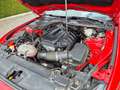 Ford Mustang Mustang 2.3 Eco Boost Rood - thumbnail 11
