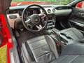 Ford Mustang Mustang 2.3 Eco Boost Rood - thumbnail 10