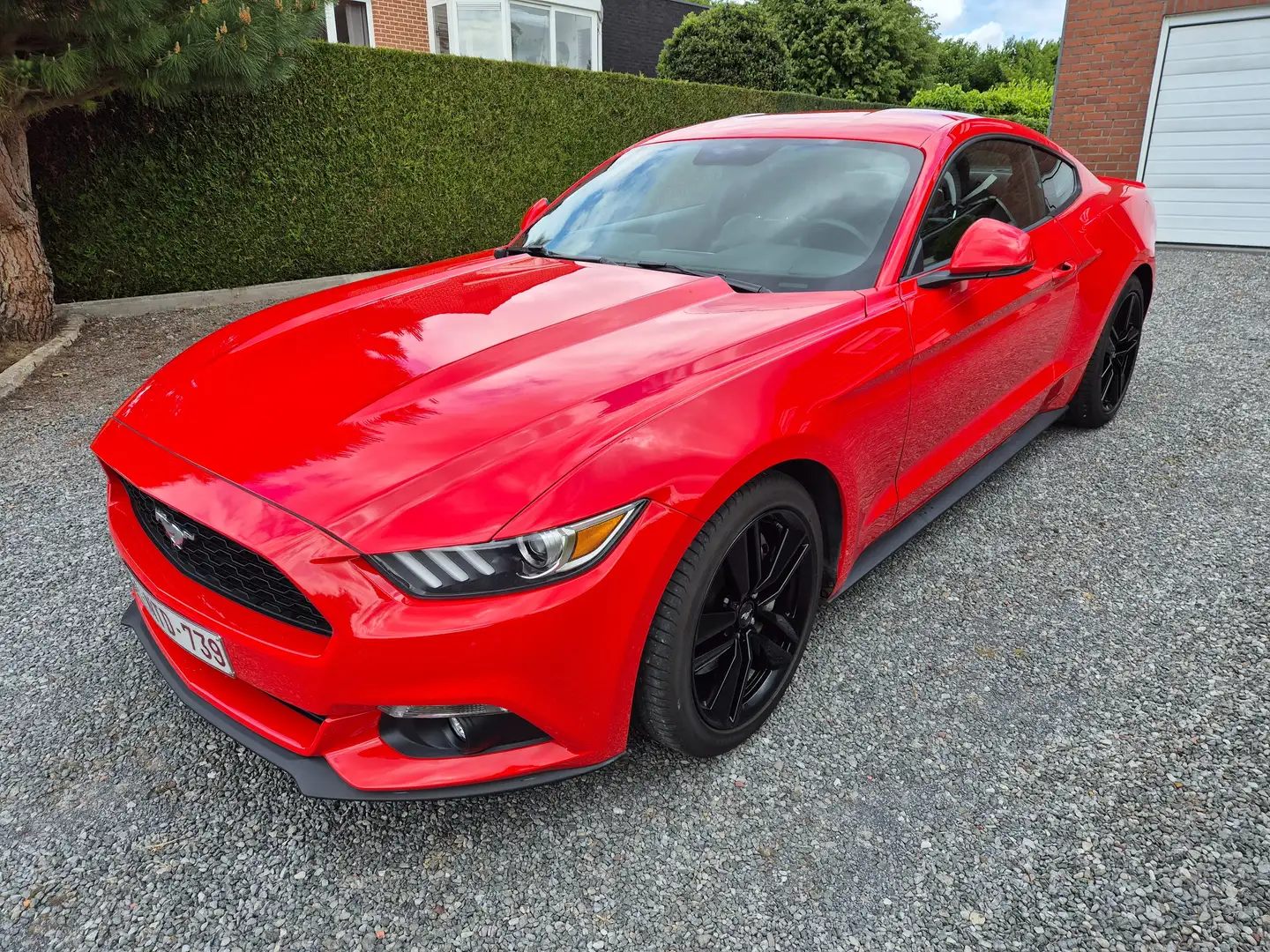 Ford Mustang Mustang 2.3 Eco Boost Rood - 2