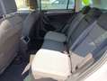 Volkswagen Tiguan 2.0 tdi Life 150cv dsg Grigio - thumbnail 14