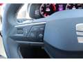 SEAT Ibiza Style 1.0 TSI LED Kamera Winterpaket Digitales Coc Rot - thumbnail 16