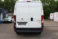 Peugeot Boxer L2H2 Pro Avantage Edition 130  Klima Telefon Weiß - thumbnail 5