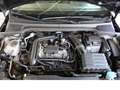 SEAT Ibiza Style Beats 1.0 TSI,Top-Ausstattung Schwarz - thumbnail 13