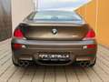 BMW M6 Coupe E63 V10 Carbon Sepang Bronze Braun - thumbnail 5