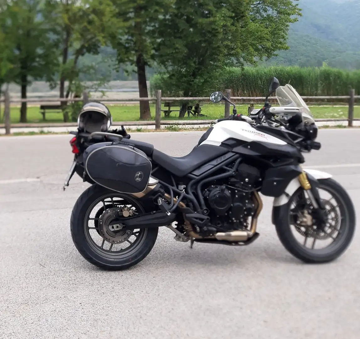Triumph Tiger 800 ABS Blanco - 1