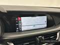 Alfa Romeo Stelvio 2.2 Diesel 118kW (160CV)  RWD Sprint Blau - thumbnail 14