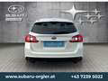 Subaru Levorg Levorg 1,6 GT-S 8-fach bereift Weiß - thumbnail 5