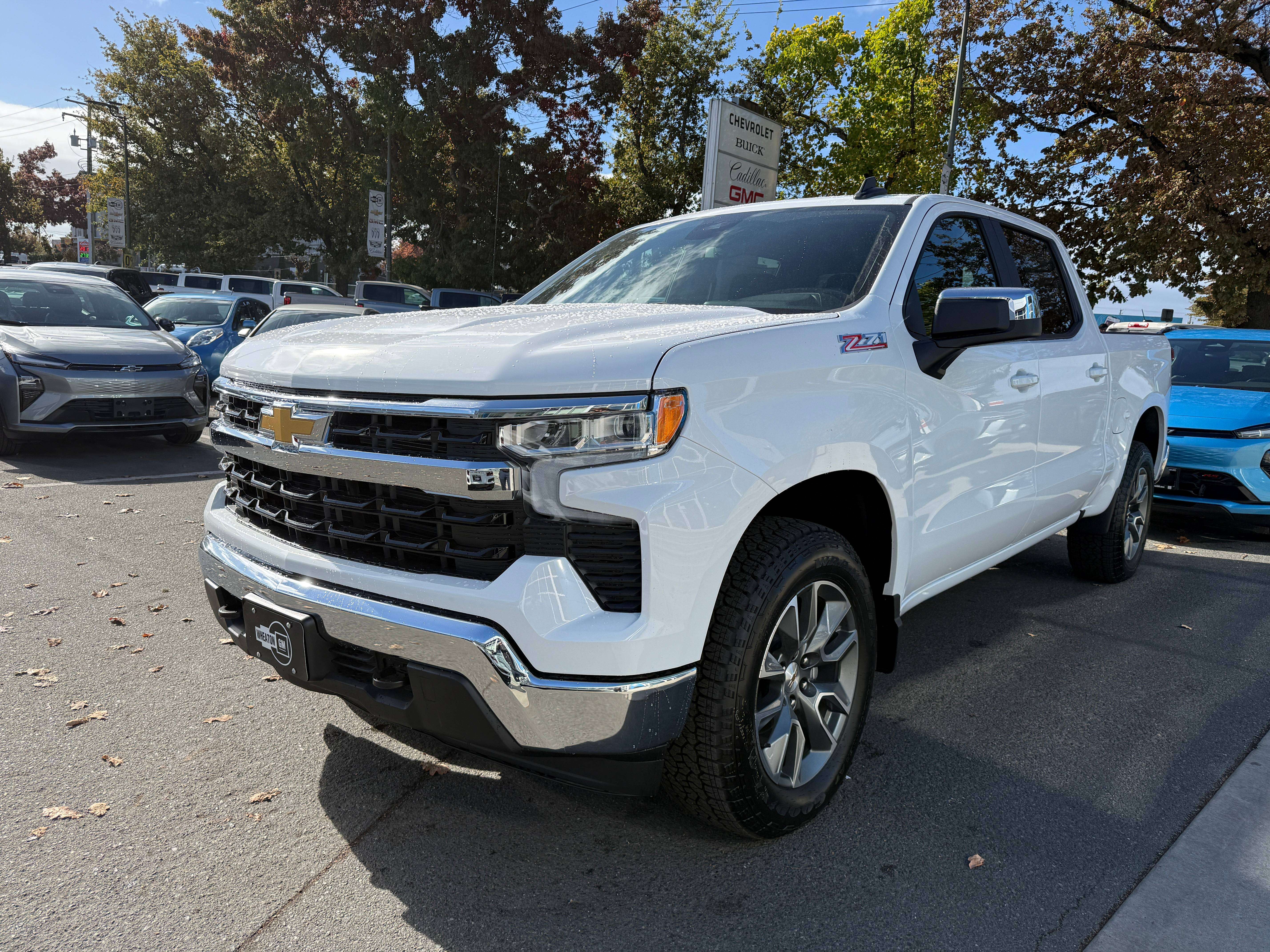 Image 8