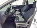 Ford Focus Turnier1.5 EcoBoost LED+RFK+PDC+GRA Blanc - thumbnail 7