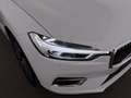 Volvo XC60 D4 Inscription Aut LED SKY AHK RADAR LEDER Weiß - thumbnail 12