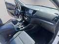 Hyundai TUCSON 1.7 CRDi DCT Sound Edition Bianco - thumbnail 14