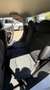 MINI Countryman D Austrian Pepper Allrad Weiß - thumbnail 18