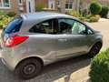 Ford Ka/Ka+ Ka 1.2 Start-Stopp-System Trend Edition Gris - thumbnail 3