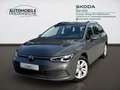 Volkswagen Golf Variant Life 1.5 TSI 96 KW DSG Navi Business Grau - thumbnail 1