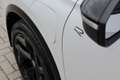 Volkswagen Tiguan 1.5 eHybrid R-Line Business 272pk PANO TREKHAAK BL Weiß - thumbnail 14