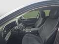 Volkswagen Passat Variant Business TDI DSG Grau - thumbnail 9