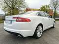 Jaguar XF XF I Berlina 3.0d V6 Luxury auto WRC AUTO Bianco - thumbnail 5