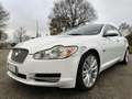 Jaguar XF XF I Berlina 3.0d V6 Luxury auto WRC AUTO Bianco - thumbnail 4