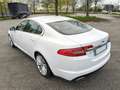Jaguar XF XF I Berlina 3.0d V6 Luxury auto WRC AUTO Bianco - thumbnail 9