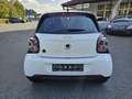 smart forFour electric drive / EQ Weiß - thumbnail 4