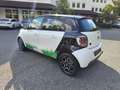 smart forFour electric drive / EQ Weiß - thumbnail 3