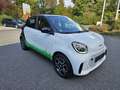smart forFour electric drive / EQ Weiß - thumbnail 8