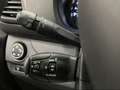 Peugeot Expert Dubbelcabine 5PL Marrone - thumbnail 19