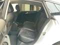 Audi A5 Sportback 3.0 TFSI 272 PK quattro / Goed Onderhoud Wit - thumbnail 26