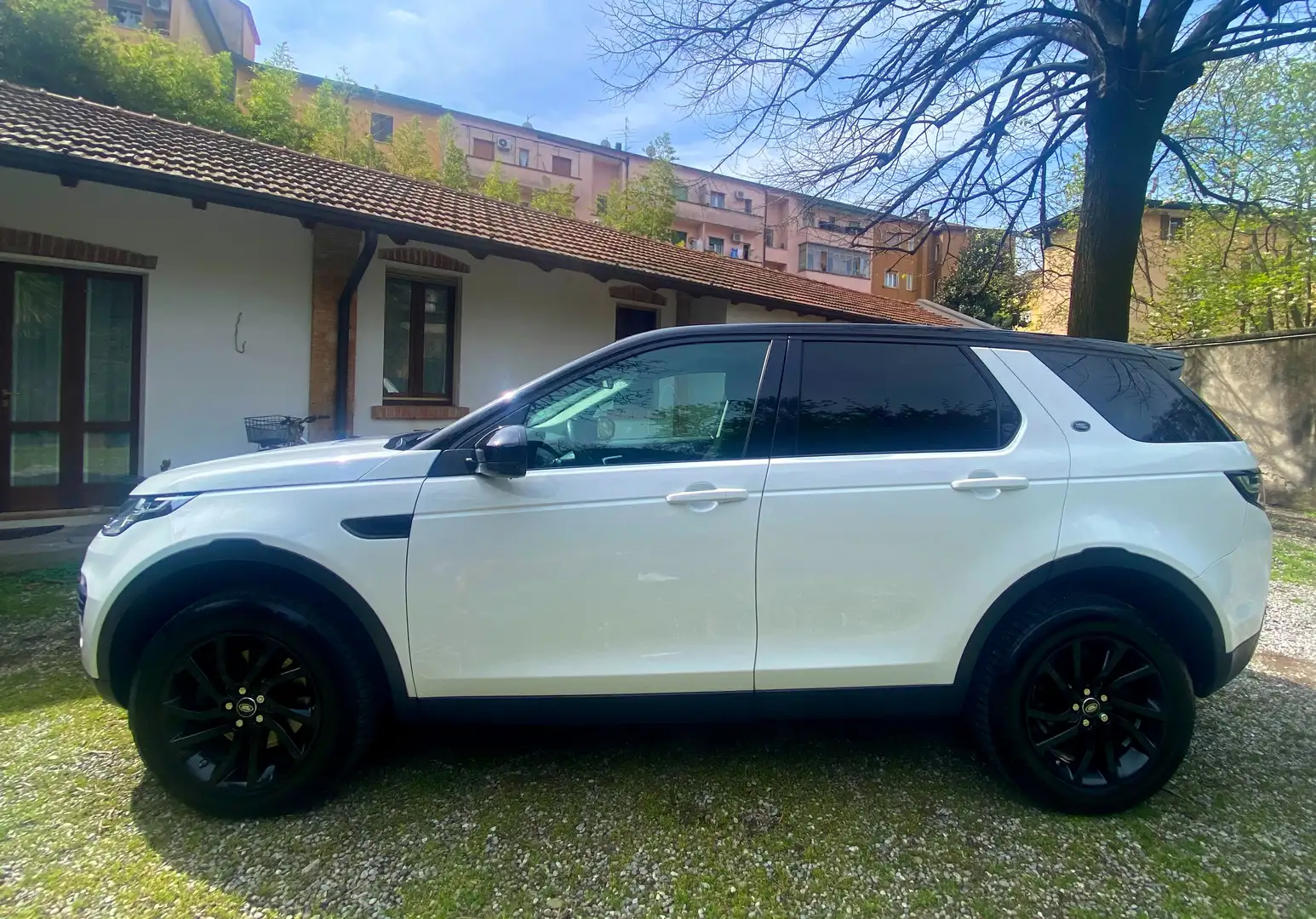 Land Rover Discovery Sport Discovery Sport I 2015 2.0 td4 Pure awd 150cv my18 Bianco - 1