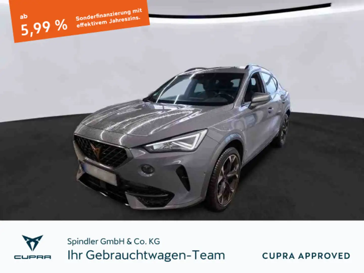 CUPRA Formentor 1.5 TSI DSG / Navi, ParkAssi, LED, AHK Grau - 1