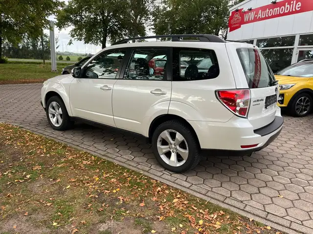 Subaru Forester view 5