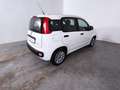 Fiat Panda 1.0 FireFly S&S Hybrid Blanc - thumbnail 6