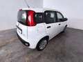 Fiat Panda 1.0 FireFly S&S Hybrid Blanco - thumbnail 11