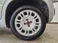Fiat Panda Panda 1.2 Easy Argent - thumbnail 5
