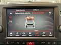 Fiat Panda 1.0 Hybrid Verde - thumbnail 14