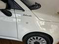Fiat 500 1.0 hybrid Dolcevita 70cv  IVA ESPOSTA!!! Bianco - thumbnail 3