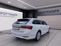 Skoda Octavia Combi 2.0 TDI DSG STYLE AHK NAVI LED SIT Weiß - thumbnail 5