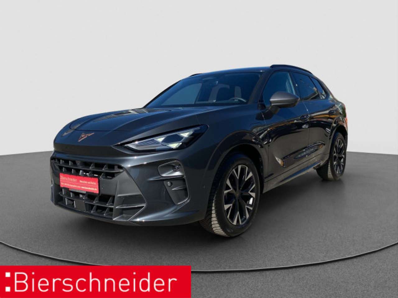 Cupra Terramar — Cupra Terramar 1.5 TSI eHybrid DSG 18 NAVI HuD 5J.GAR