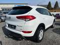 Hyundai TUCSON 4WD-AHK-SHZ-KAMERA-NAVI-KLIMA-DAB Weiß - thumbnail 4