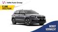 Skoda Karoq Business Edition 1.5 110 kW / 150 pk TSI SUV 7 ver Grijs - thumbnail 1