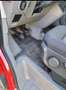 Volkswagen Crafter Pritsche Doka Plane Anhängerkupplung Klima Pritsche Rot - thumbnail 8