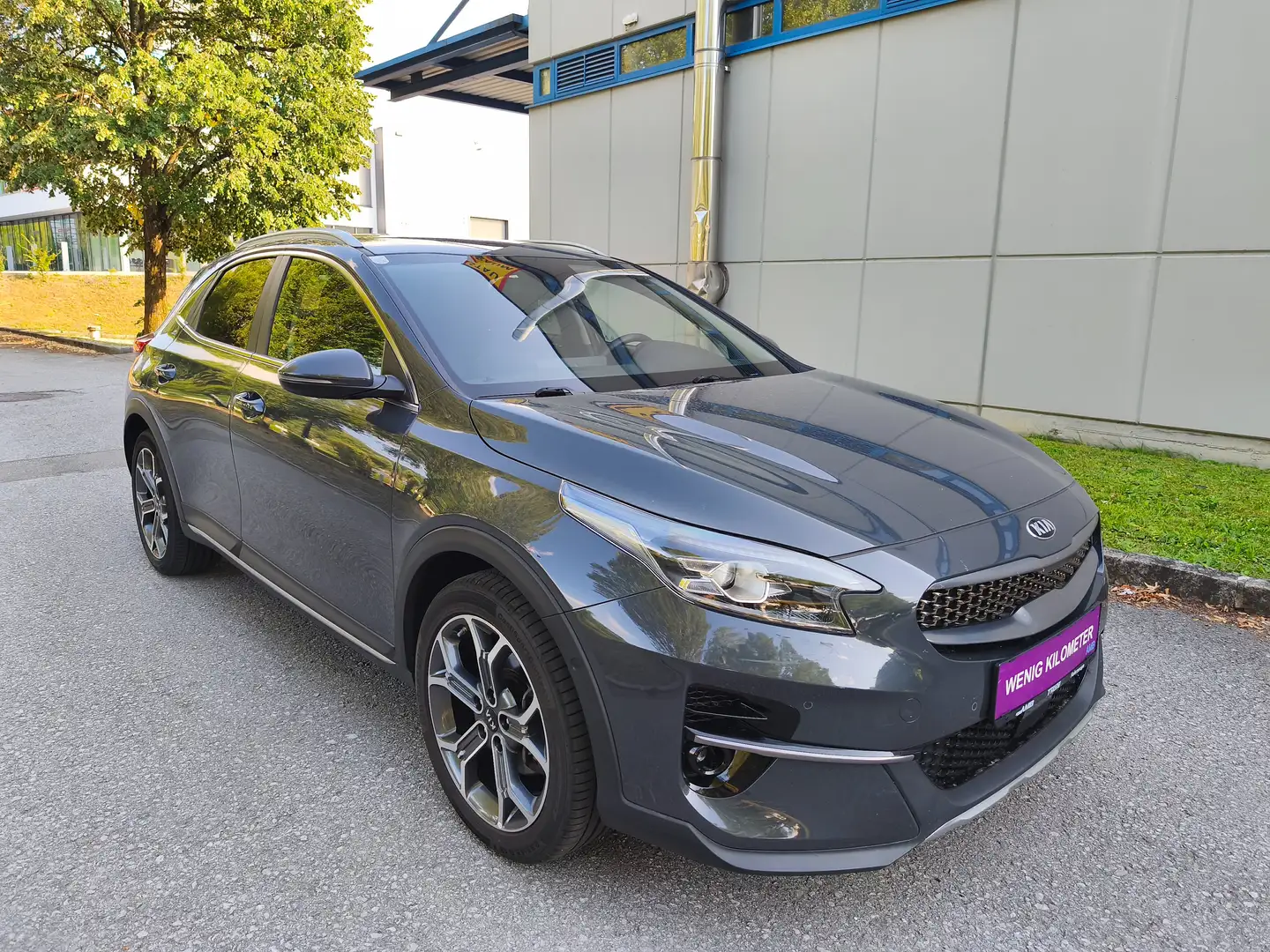 Kia XCeed XCeed 1.6 CRDI SCR ISG 48V Platin,*Leder, Kamera,* Grau - 2