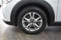 Mazda CX-3 CX-3 1.5D Evolve 105cv UniPro/Navi/OttimoStato Weiß - thumbnail 14
