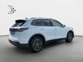 Volkswagen Tiguan 2.0 TDI DSG LIFE*LED*AHK*KAMERA*PDC*SHZ*1 Weiß - thumbnail 18