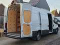 Iveco Daily L4H3 22.990EX 3.0 Diesel Hi Matic Automaat 180 PK Blanc - thumbnail 13